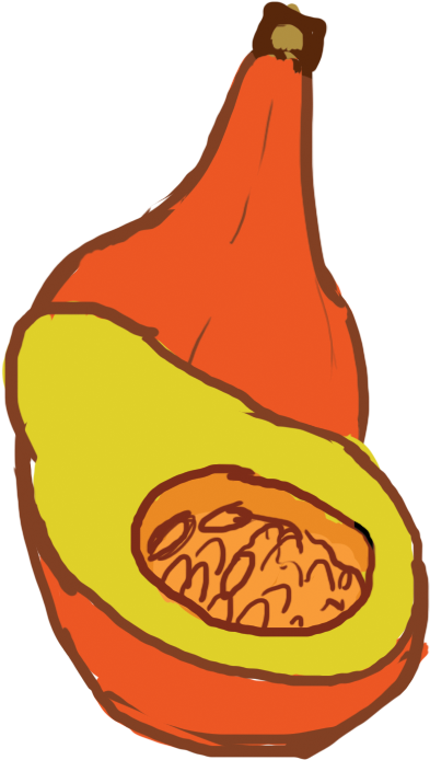 The Red Kuri Squash Is Often Mistaken For Sugar Pumpkins - The Red Kuri Squash Is Often Mistaken For Sugar Pumpkins (540x733)