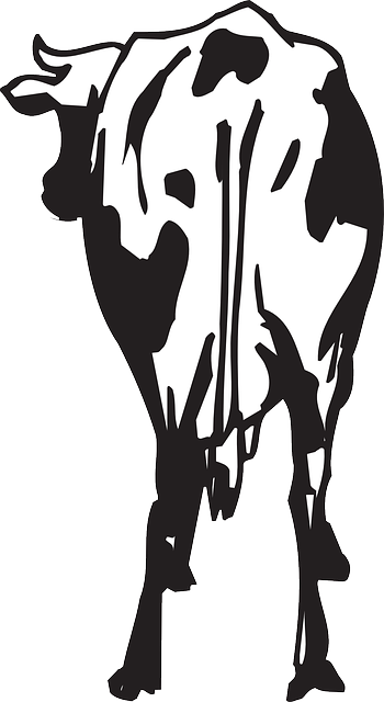 Farm, Cow, Art, Animal, Rear - Cow Back View Clipart (350x640)