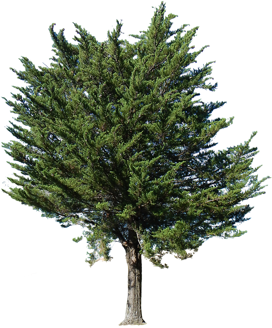 Arboreal Http - //www - Arboreal - Es - Landscape Clipartphotoshop - Arrow Ezee 7 Ft. 10 In. W X 7 Ft. 2 In. D Metal Storage (930x1100)