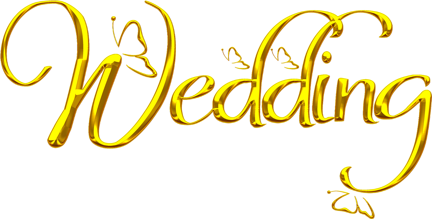 New Wedding Png Fonts Free Download - Wedding Image Png (1600x873)