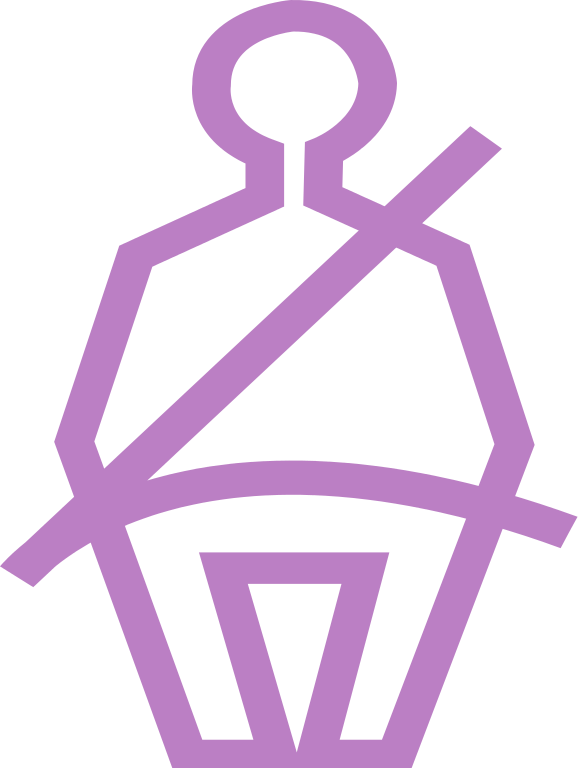Pink Seatbelt Icon - Icon (579x768)