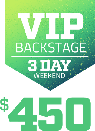 Buy Vip Backstage - Poster (314x431)