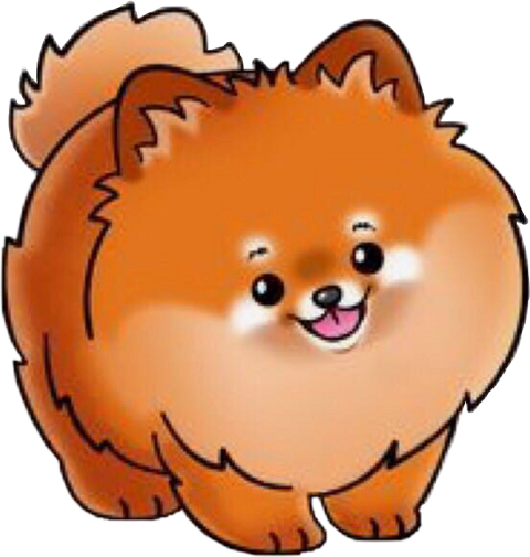 Dog Cartoon Pomeranian (480x505)