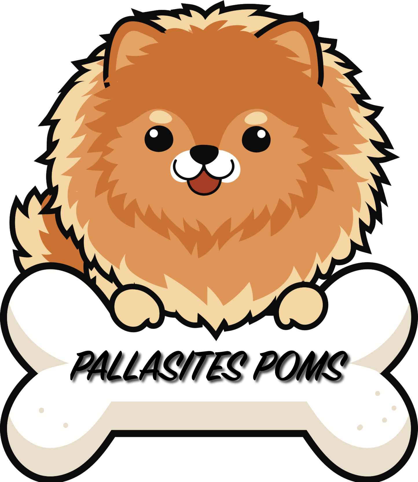 Pomeranian (1444x1664)