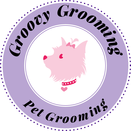 Pet Grooming Coolum Beach - Coolum Beach (455x455)