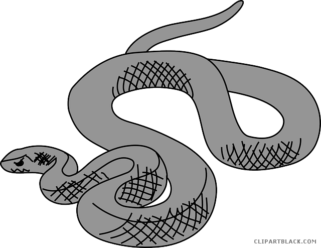 Snake Animal Free Black White Clipart Images Clipartblack - Snake Clipart (640x494)