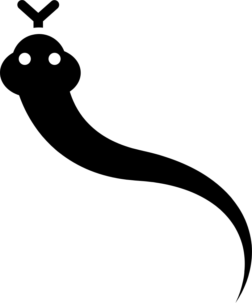 Snake Of Brazil Comments - Snake Shape Png (816x980)
