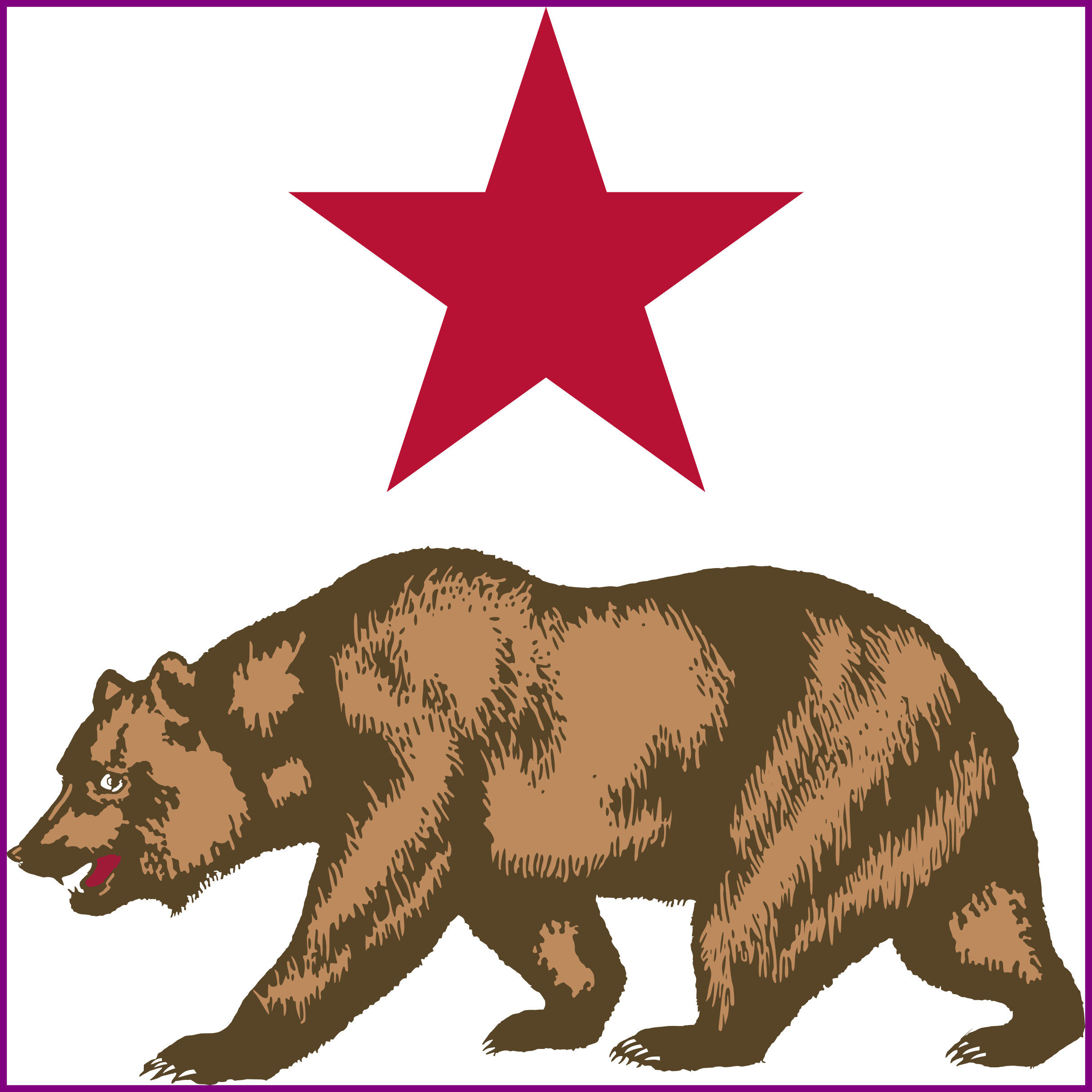 Awesome Symbols Of California Yahoo Image Results Public - New California Republic Flag (2430x2430)