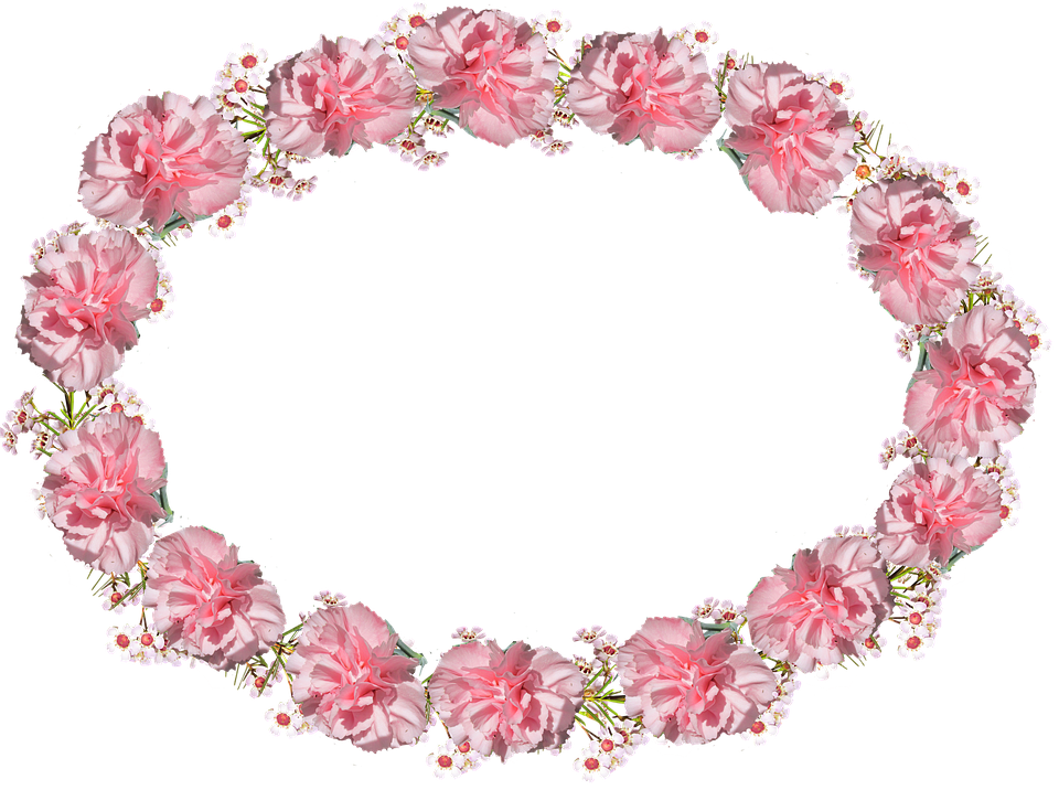 Oval, Frame, Pink, Carnation - Oval Frame Pink (960x716)