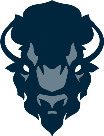 Howard University Bison Logo (500x500)