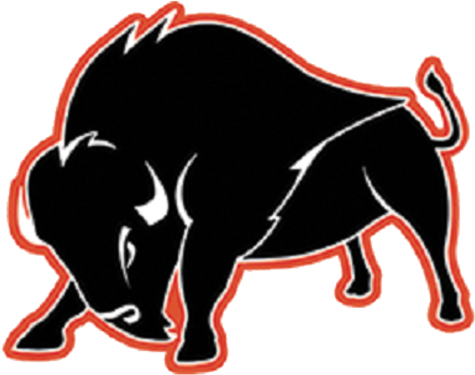 Buffalo Bison - Bison Logo Harding University (720x544)