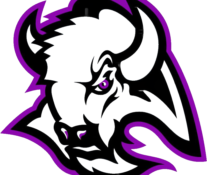 Bison Baseball Classic - Ah Parker High School (799x675)