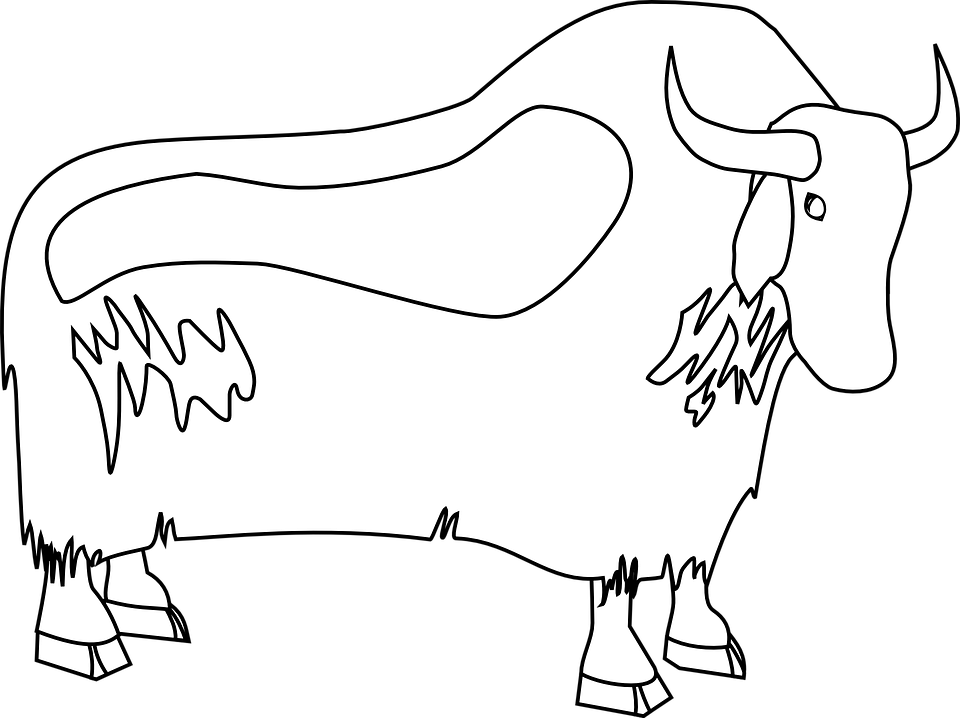 Free Vector Graphic - Yak Clipart Black And White Png (960x718)