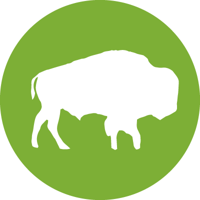 Bison - Sandvine (400x400)