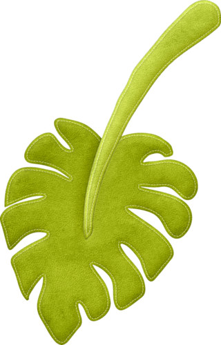 Leaf 3 - Folhas Safari Png (320x500)