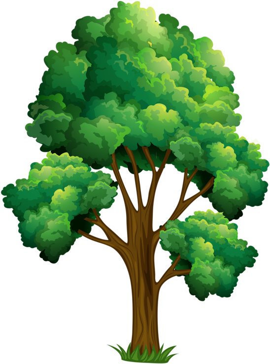 24 - Clipart Tree (586x800)