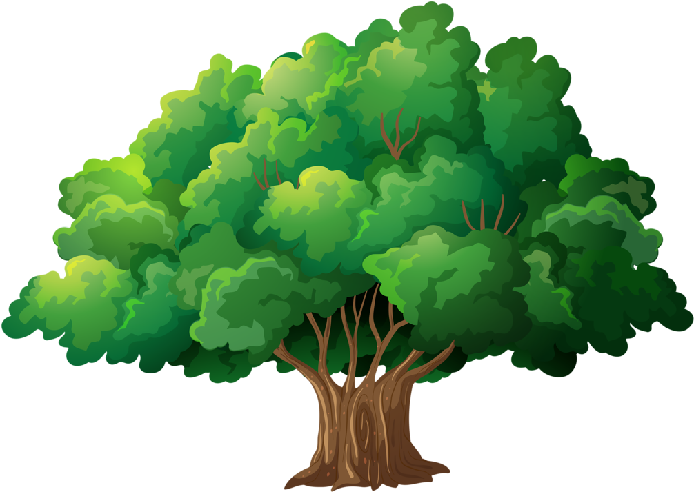 Фото, Автор Soloveika На Яндекс - Filled Out Family Tree (1024x766)