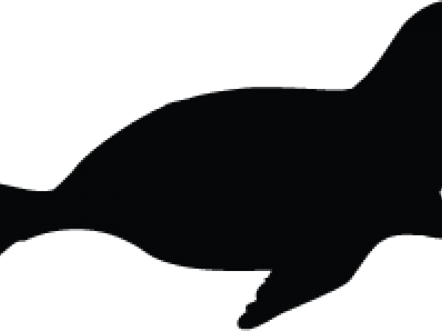 Seal Clipart Ocean Animal - Killer Whale (640x480)