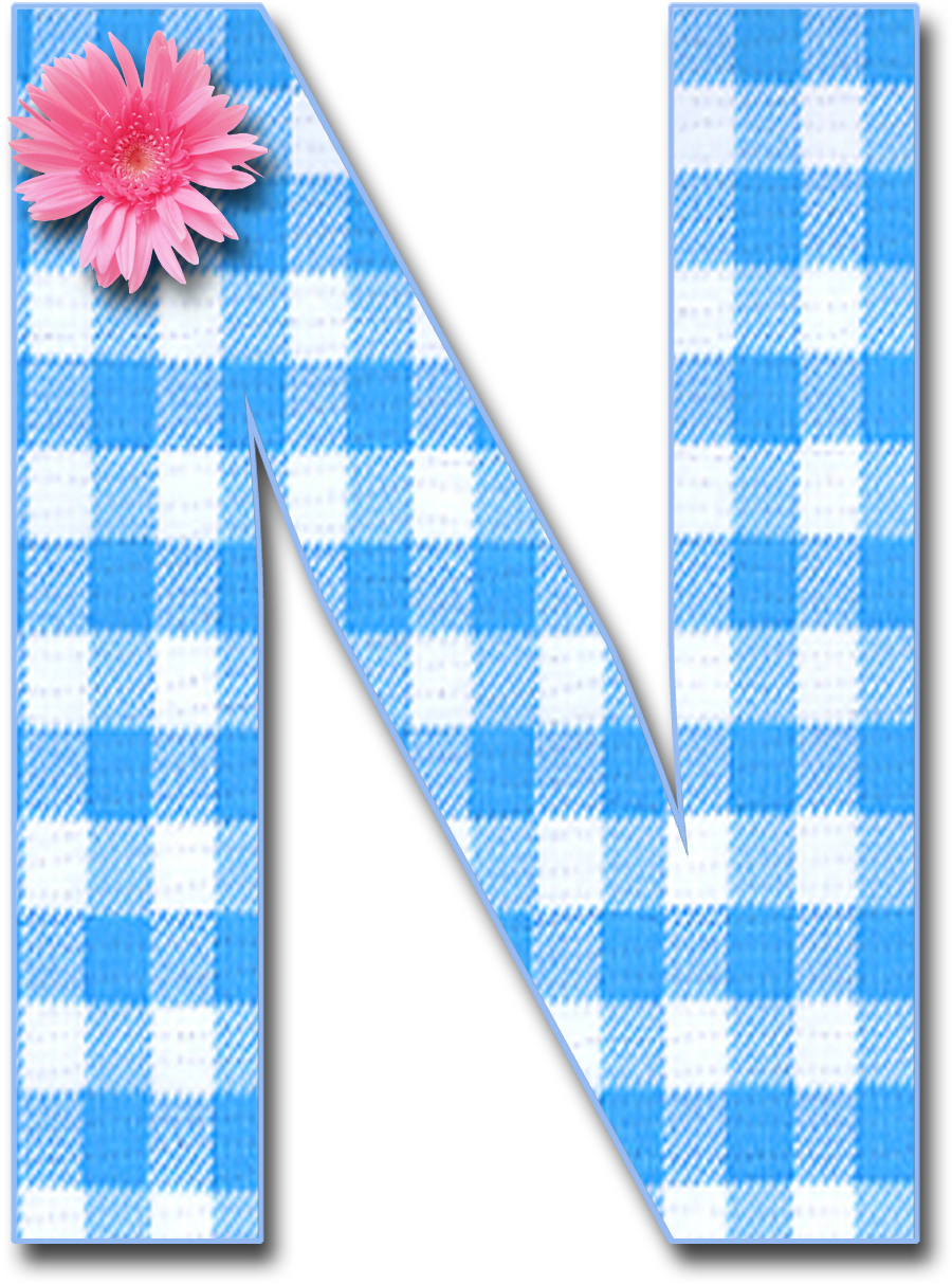Blue Gingham N Png 1,200×1,321 Pixels - Alphabet (1200x1321)