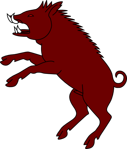Wild Boar Standing (510x599)