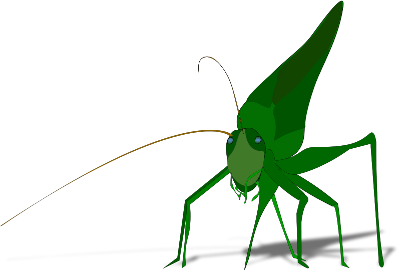 Grasshopper Clipart (800x558)