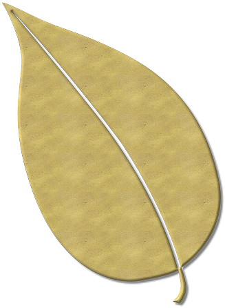 Leaves, Fall Foliage, Nature, Autumn - Autumn (640x640)