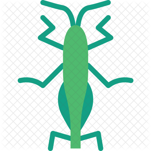 Grasshopper Icon - Grasshopper (512x512)