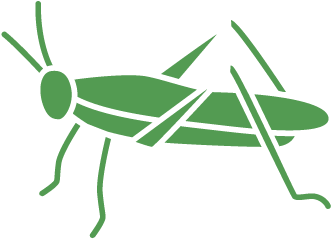 Pest Control Service For Crickets - Grasshopper (501x501)