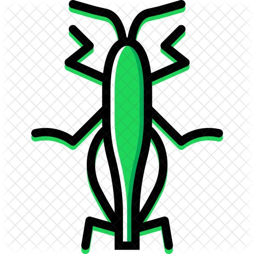 Grasshopper Icon - Grasshopper (512x512)