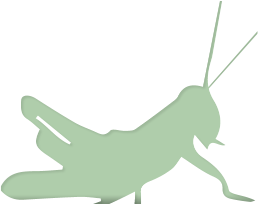 Gorgeous Content-rich Design For New Content Marketers, - Saltamontes Vector (533x407)