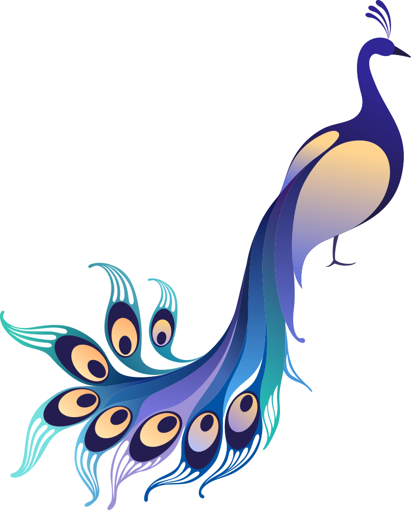 Asiatic Peafowl Stock Illustration Clip Art - Vector Peacock Art Png (806x1000)