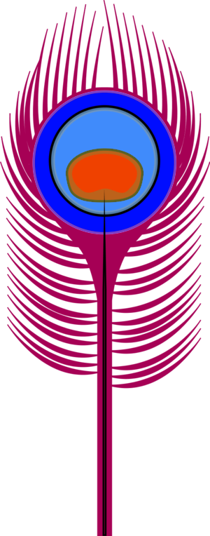 Clipart Info - Peacock Feather Clip Art (300x764)