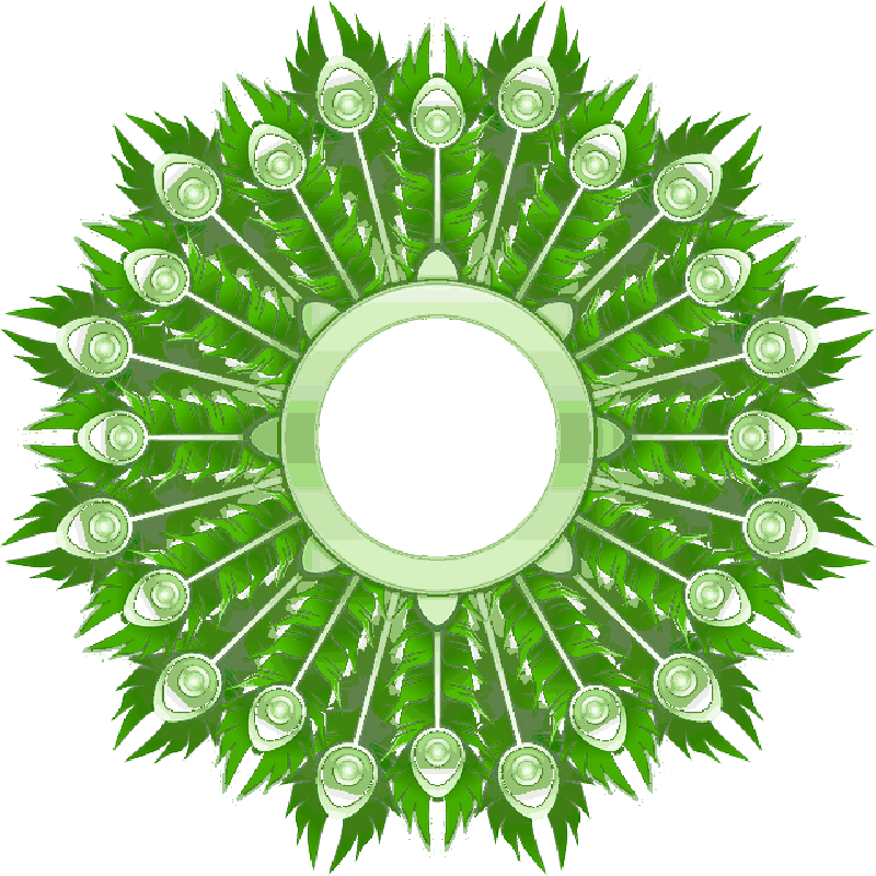 Wreath, Peacock, Feathers, Colorful, Decoration - Favicon (800x800)
