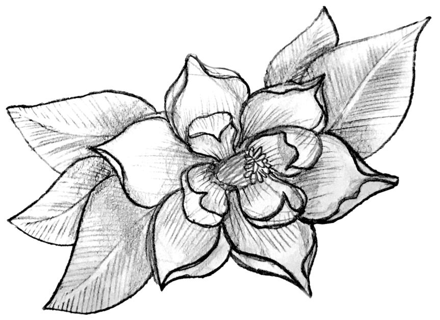 S Dogwood1 - S Dogwood1 (1000x1000)