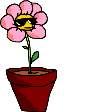 Free Bofe2 Free Pacific Dogwood - Flower (566x800)
