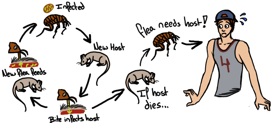 Free Black Death Symptoms Cartoon - Cartoon (879x400)