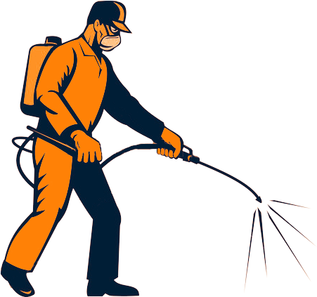 Termite Treatment Costa Mesa - Drywood Termite Look Like (450x442)