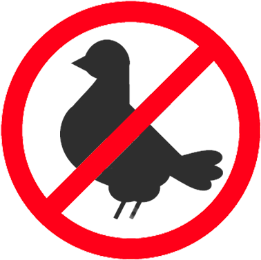Pigeon-crossed - Traffic Signals No Horn (400x400)