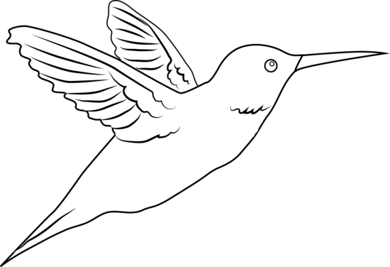 Totem Pole Clipart Hummingbird - Hummingbird Clipart Black And White (550x376)
