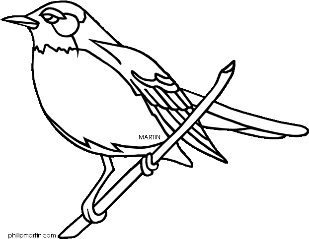 Wisconsin - Clipart - Wisconsin State Bird Coloring Page (648x511)