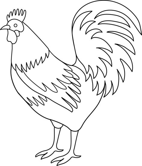 Rooster Coloring Page Free Clip Art - Coloring Book (473x550)
