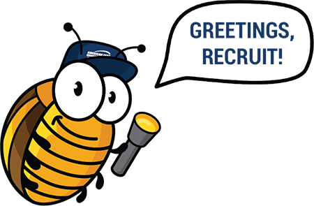 Our Junior Pest Technician Program Features A Cartoon - Colorado Potato Beetle (450x295)