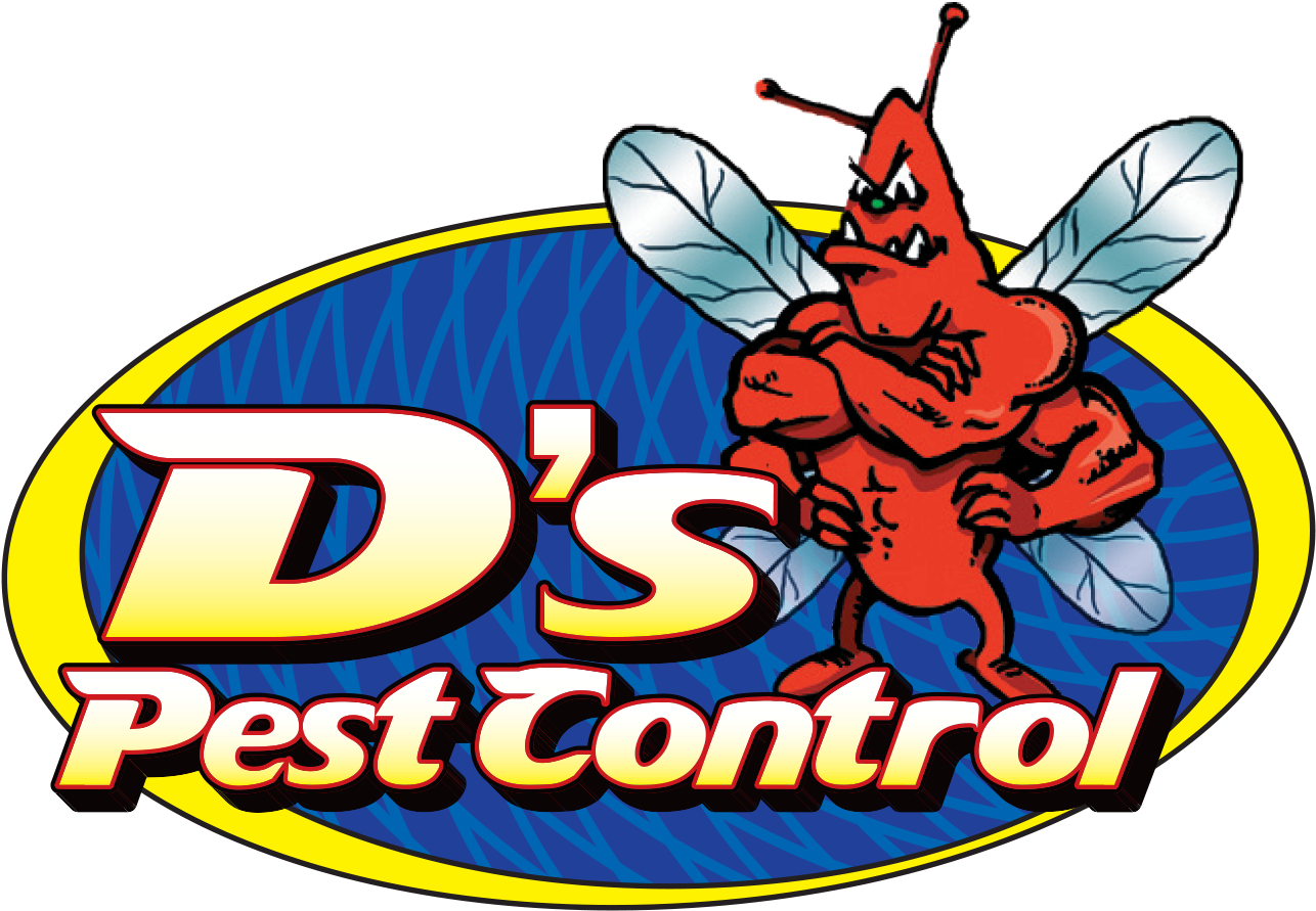 D's Pest Control - Cartoon (1343x956)