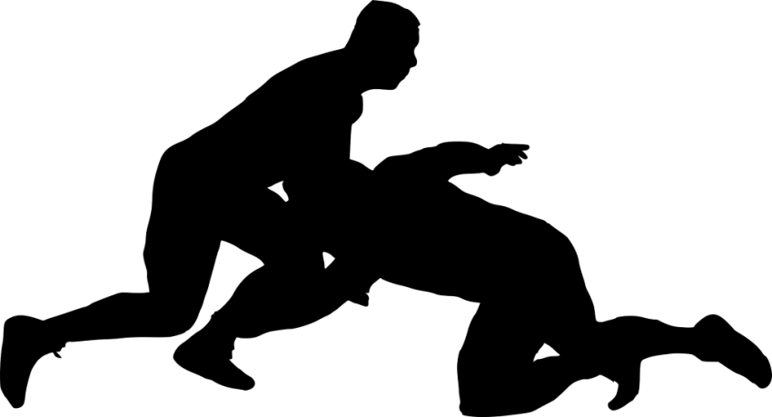 Free Png Sport Wrestling Silhouette Png Images Transparent - Silhouette (850x459)