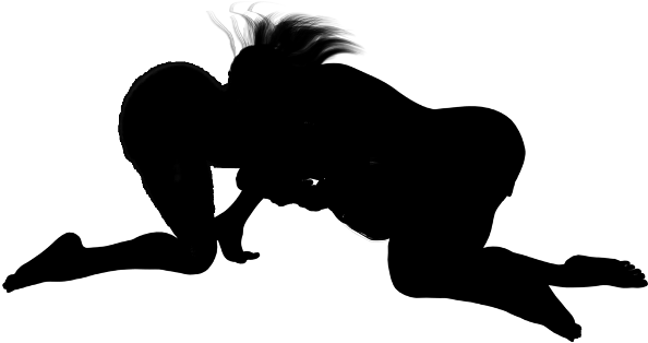 Silhouettes, Wrestling - Silhouette (600x337)
