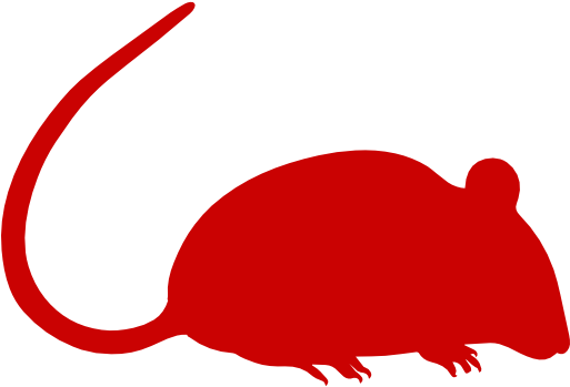Rollins Pest Control Inc - Rat Logo Transparent (1060x1060)