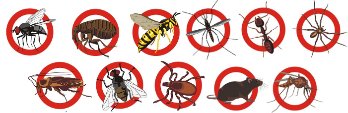 Call Now & Schedule Your Appointment Today - Deratisation (701x228)