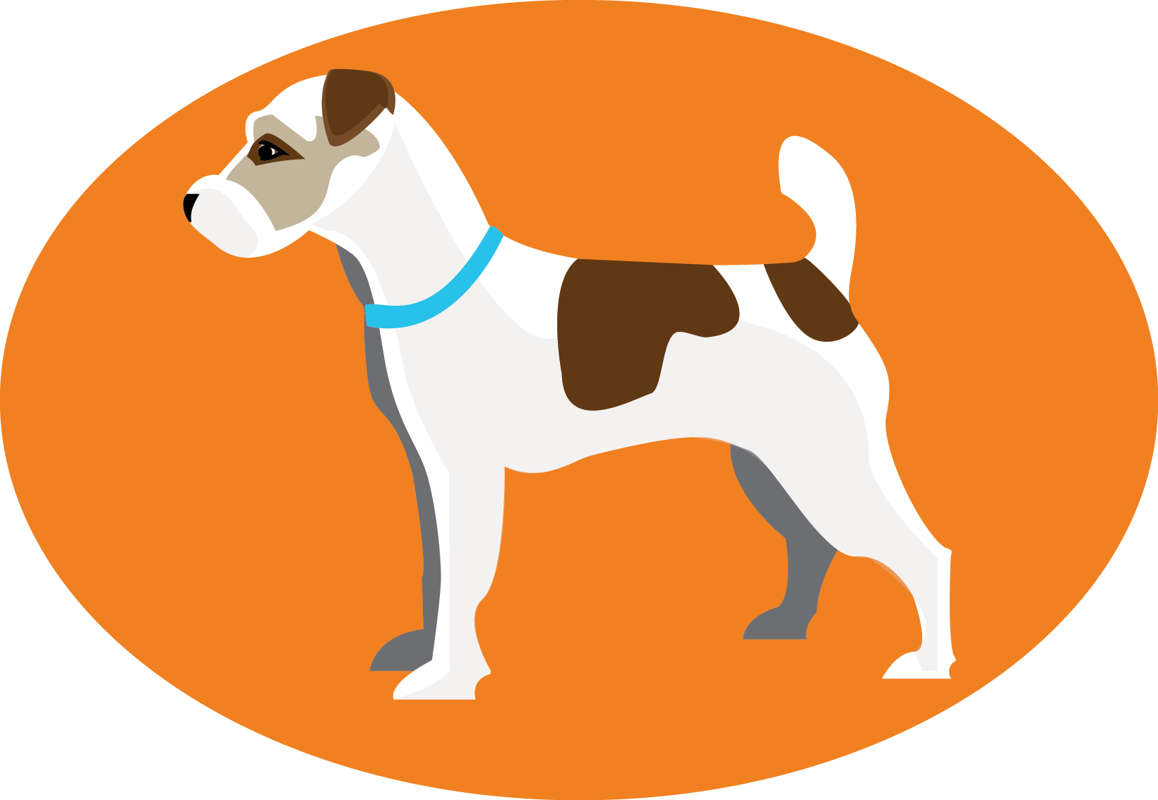 Final Scout - Scout's Pest Control (1640x1133)