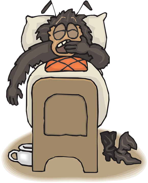 Pest Control Nyc, Bed Bug Infestations, Rest Easy Pest - Bed Bug (580x720)