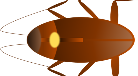 Local Pest Control - Port Washington (670x300)